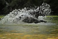 2021 - Wassershooting Taiga (113) lowres